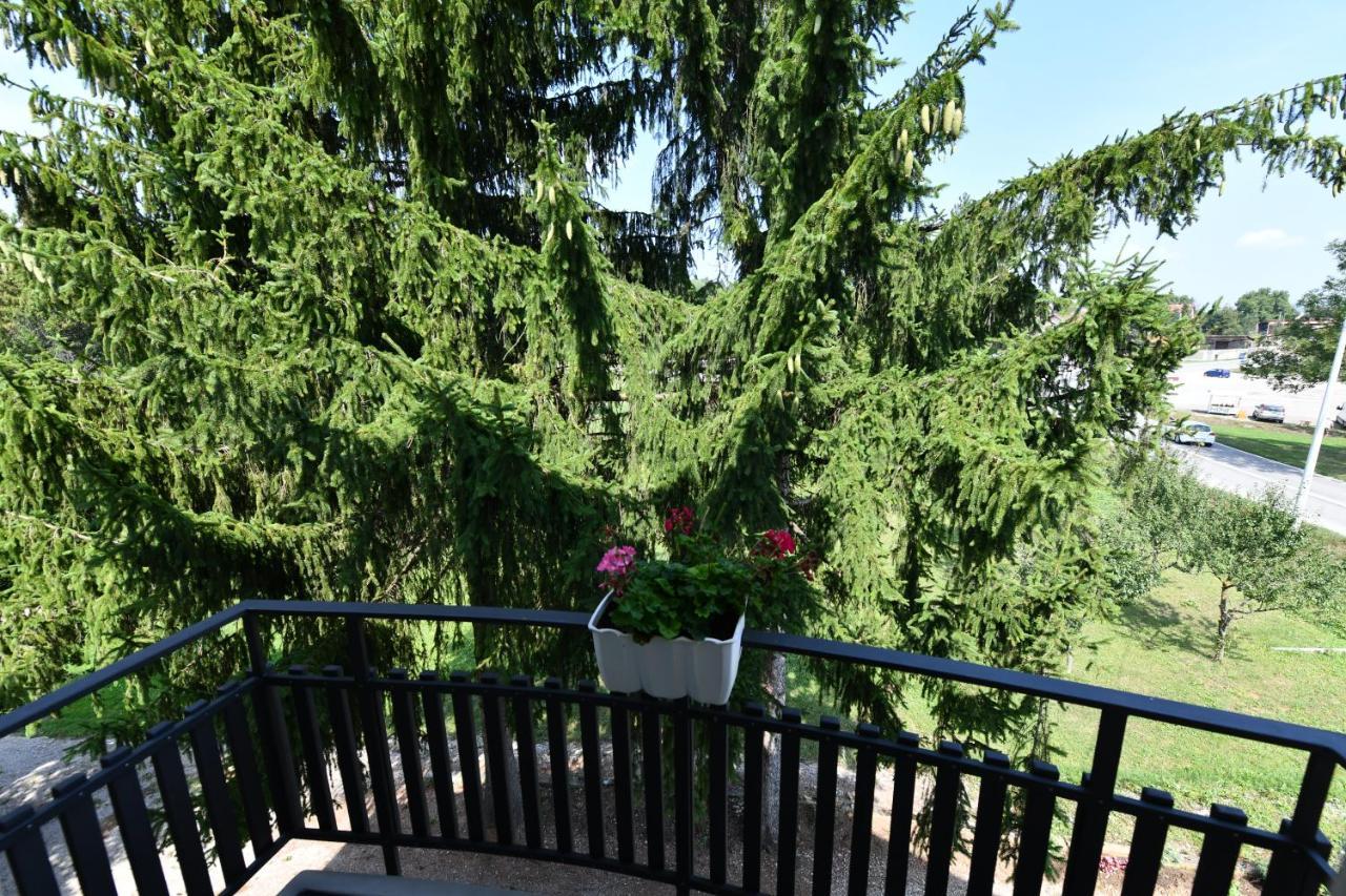Apartmani Zagi Rakovica Εξωτερικό φωτογραφία
